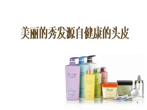 头皮专业知识ppt课件