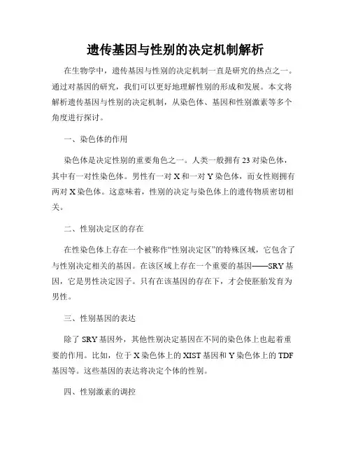 遗传基因与性别的决定机制解析