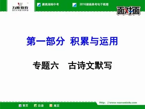 2016年湖南省中考面对面九年级语文复习人教版(课件习题)第一部分  积累与运用(13份打包)5