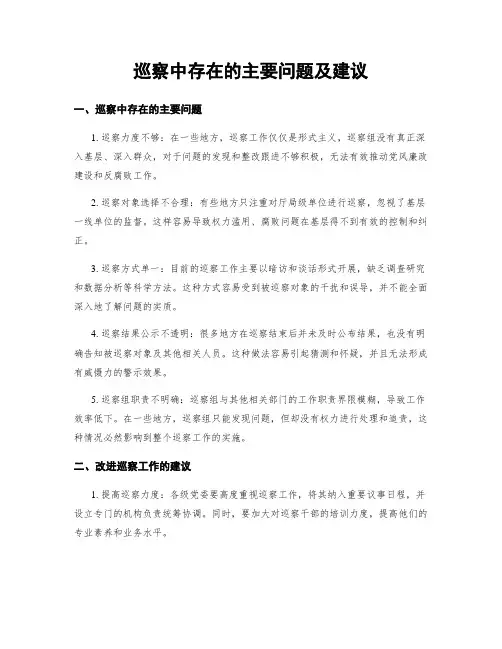 巡察中存在的主要问题及建议