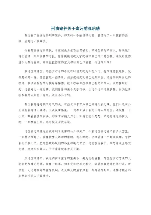 刑事案件关于贪污的观后感