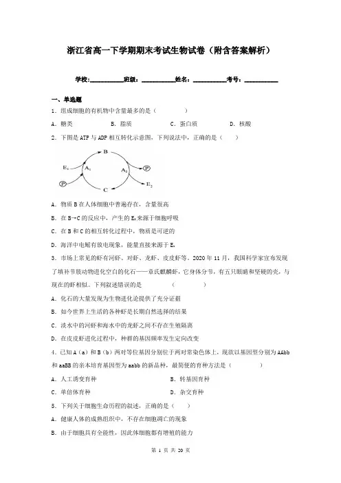 浙江省高一下学期期末考试生物试卷(附含答案解析)