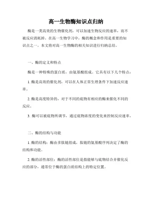高一生物酶知识点归纳