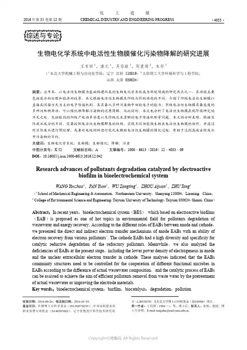 生物电化学系统中电活性生物膜催化污染物降解的研究进展