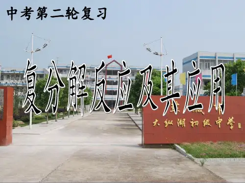 复分解反应 课件