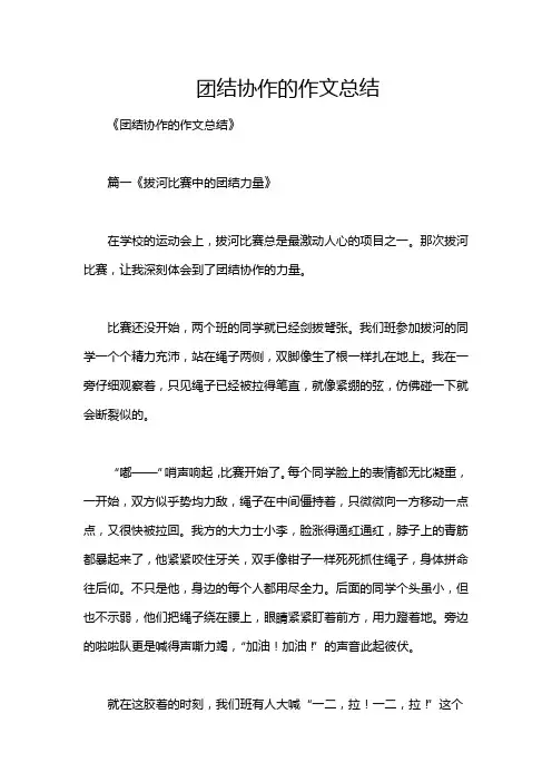 团结协作的作文总结