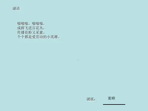 人教课标版二年级下册26蜜蜂引路资料ppt课件