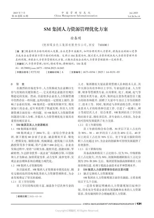 SM_集团人力资源管理优化方案