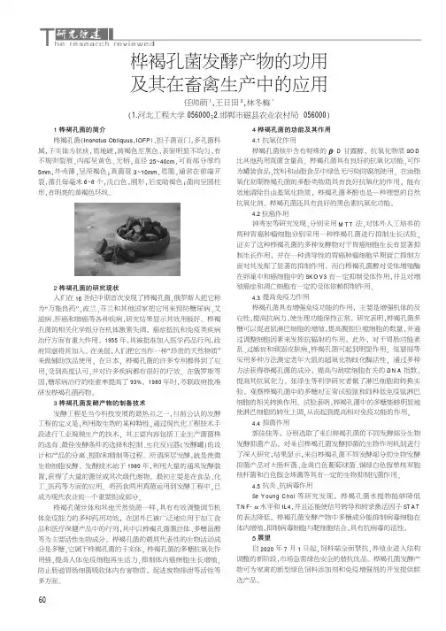 桦褐孔菌发酵产物的功用及其在畜禽生产中的应用