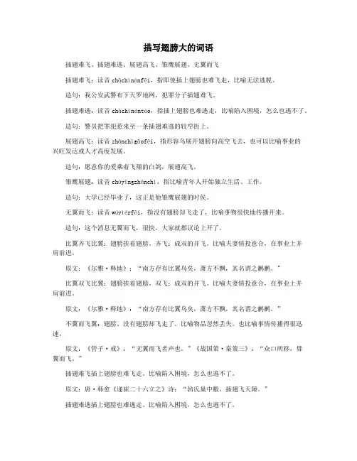 描写翅膀大的词语