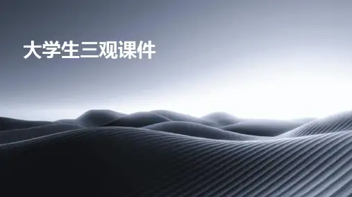 大学生三观课件ppt