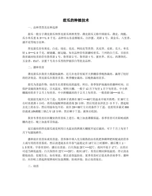 甜瓜的种植技术