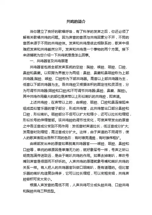 共鸣的简介