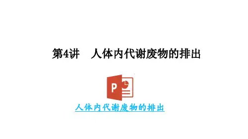 初中生物  中考生物复习：人体内代谢废物的排出 济南版精品课件