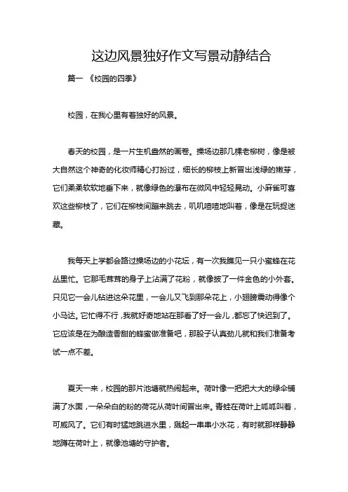 这边风景独好作文写景动静结合