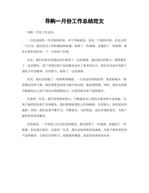 导购一月份工作总结范文