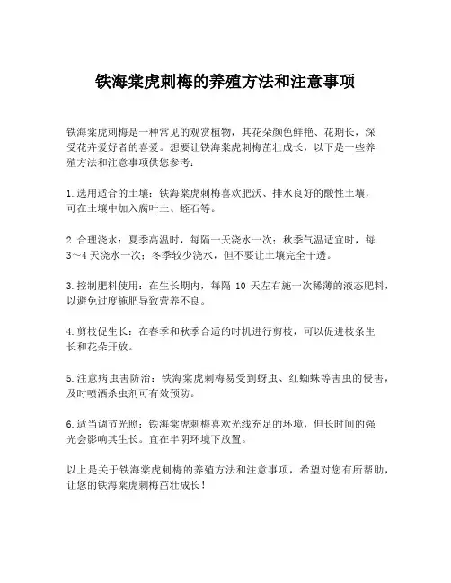 铁海棠虎刺梅的养殖方法和注意事项