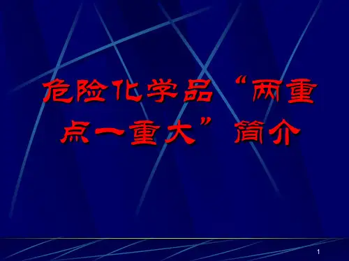 危险化学品两重点一重大简介