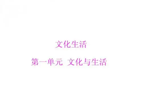 2014年学业水平文化生活 第一单元 文化与生活[配套课件]
