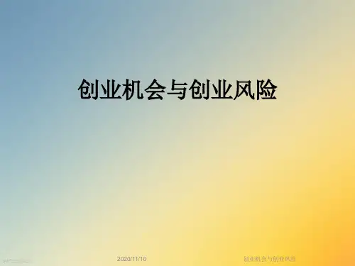 创业机会与创业风险