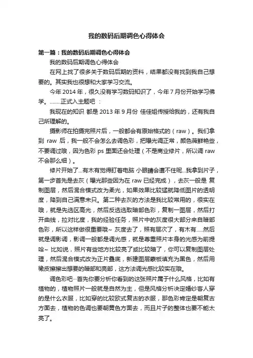 我的数码后期调色心得体会