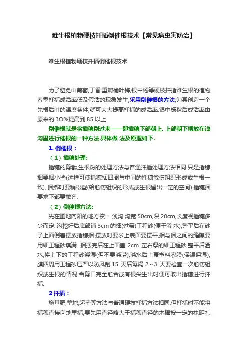 难生根植物硬枝扦插倒催根技术【常见病虫害防治】