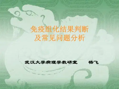 免疫组化结果判断及常见问题的分析ppt课件