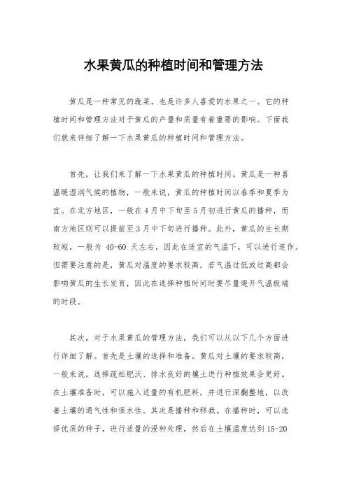 水果黄瓜的种植时间和管理方法