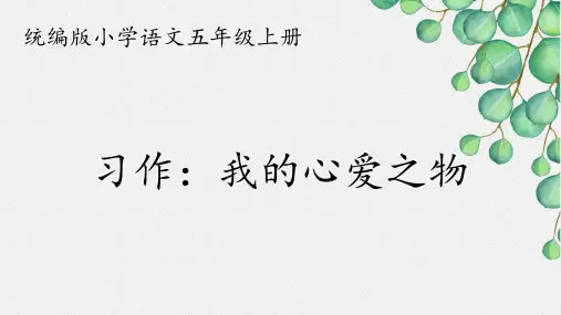 习作：我的心爱之物ppt课件