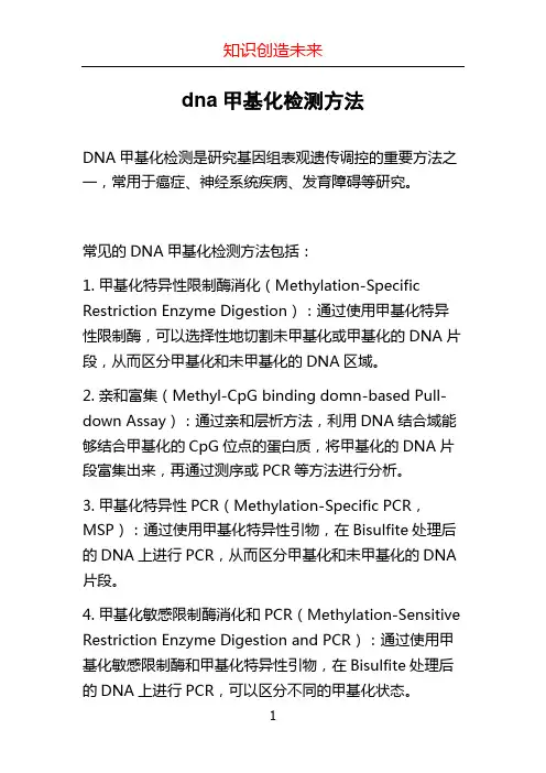 dna甲基化检测方法