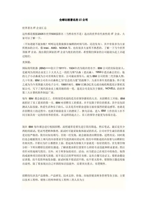全球比较著名的IT公司