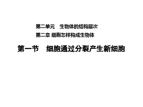 人教版七年级生物第2单元 生物体的结构层次第2章细胞怎样构成生物体练习习题