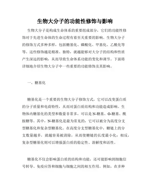 生物大分子的功能性修饰与影响