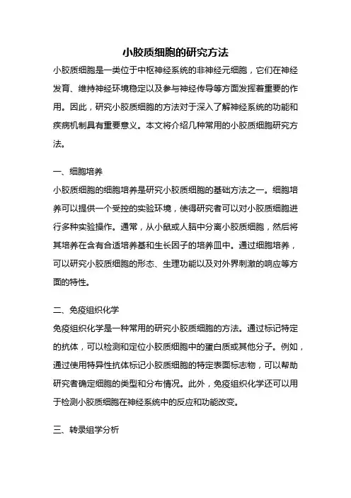 小胶质细胞的研究方法