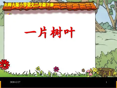北师大版小学语文二年级下册《一片树叶》 ppt课件