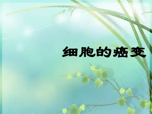 高中生物：细胞的癌变 PPT课件 图文