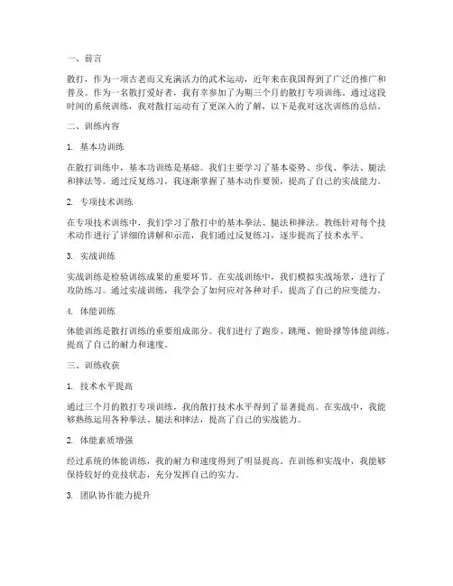 散打专项训练总结范文