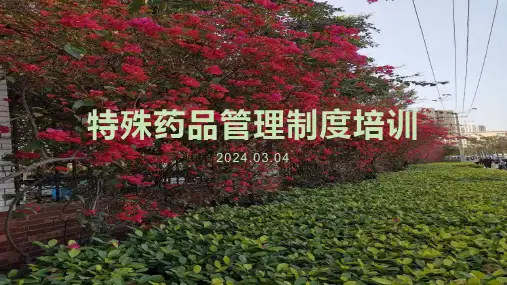 特殊药品管理制度培训