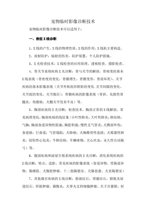 宠物临时影像诊断技术