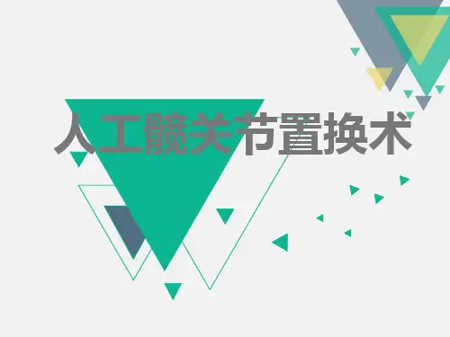 人工髋关节置换术