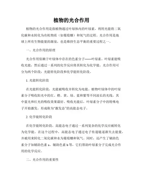 植物的光合作用