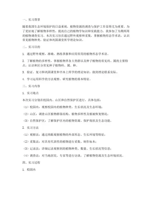 植物调查实习报告