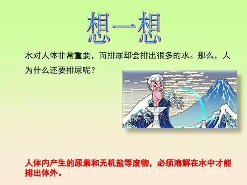 人体内废物的排出课件(人教版生物)