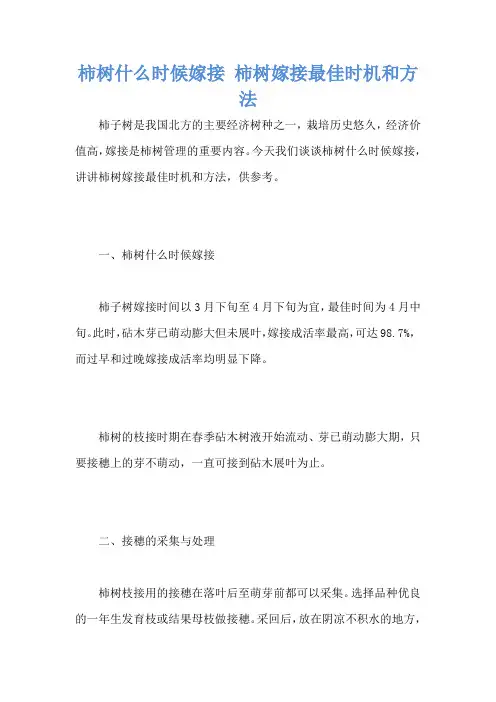 柿树什么时候嫁接 柿树嫁接最佳时机和方法