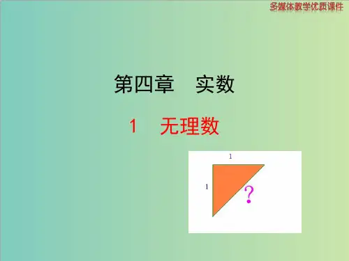 鲁教版(五四制)七年级上4.1无理数课件(共19张ppt)