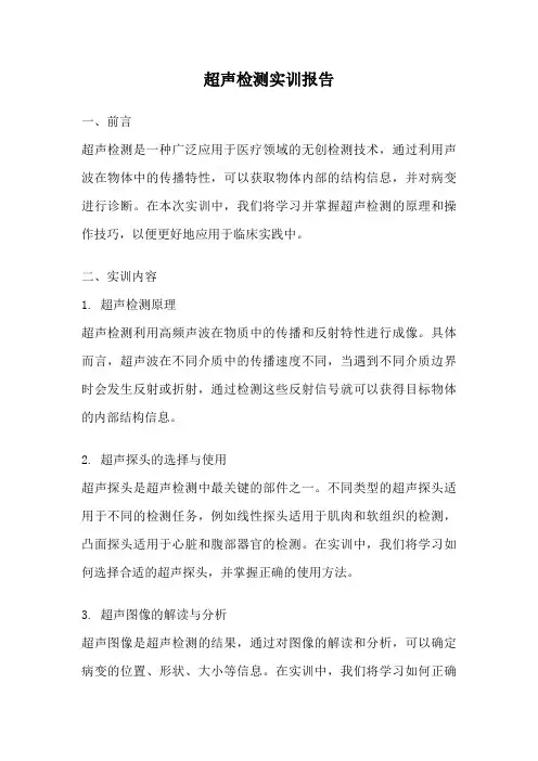 超声检测实训报告