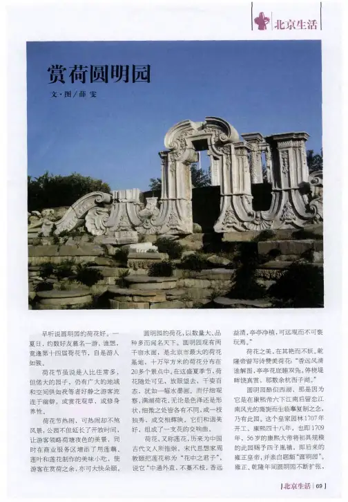 赏荷圆明园
