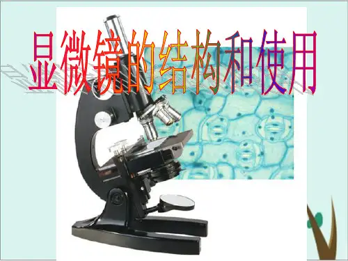 第一章 实验 显微镜的使用 人教版高中生物必修一课件完美版