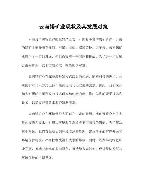 云南锡矿业现状及其发展对策