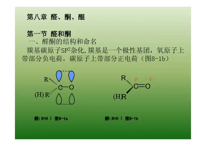 第八章醛、酮、醌第一节醛和酮一、醛酮的结构和命名羰基碳原子SP2杂化